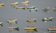 Is Limiting the Gaza Fishing Zone Collective Punishment?