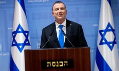 Convene the Knesset Plenum Without Delay - IDI Statement