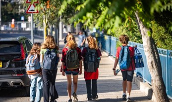 מה זה אומר כשדמוקרטיה ליברלית "יורדת מהבגרות באזרחות"? 