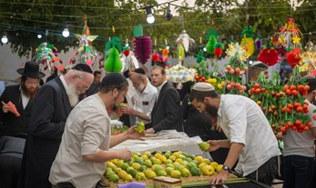 שוק ארבעת המינים החרדי: מה גורם לאדם לשלם הון בעבור אתרוג?