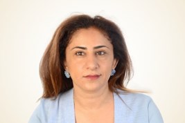 תמונת ברירת מחדל