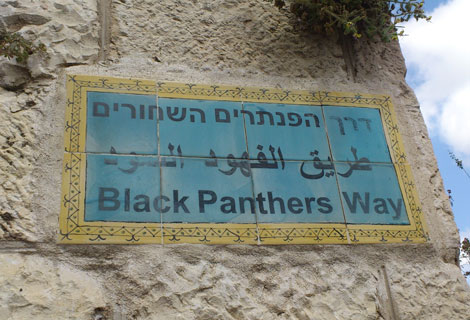 The Black Panthers Protest Movement