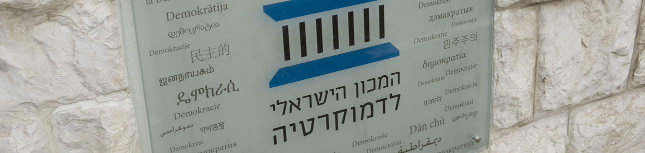 צוות המכון הישראלי לדמוקרטיה